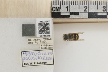 Media type: image;   Entomology 789248 Aspect: Labels